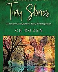 A Collection of Tiny Stories: Diminutive Tales from the Tip of My Imagination