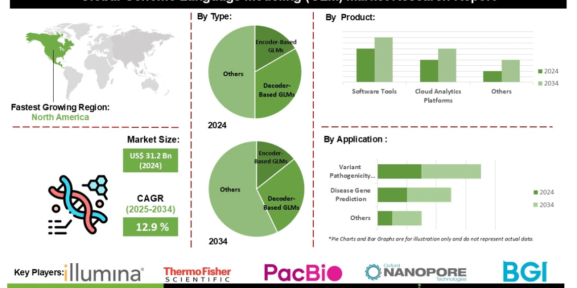 Genome Language Modeling (GLM) Market Growth Driven by Rising Demand for Precision Medicine Personalized Therapeutics and AI Powered Genomic Analysis